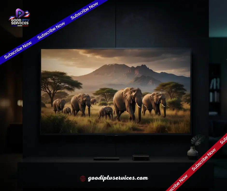 Chaînes TV et VOD illimitées